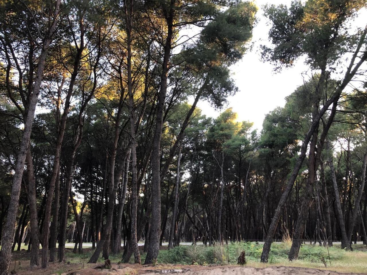 Vila Topi Vlorë Exteriér fotografie